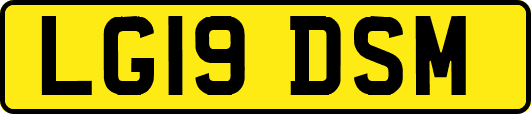 LG19DSM