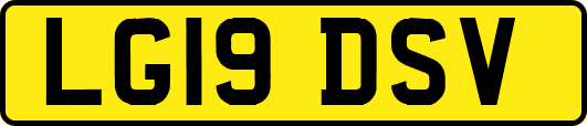 LG19DSV