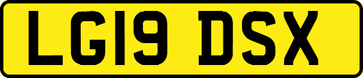LG19DSX