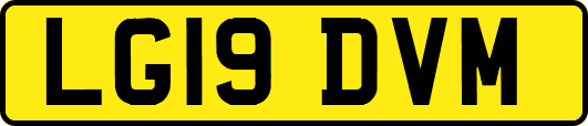 LG19DVM