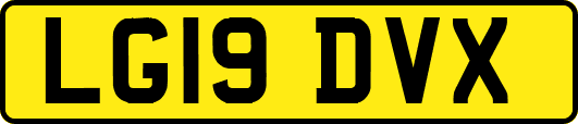 LG19DVX