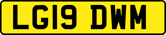 LG19DWM