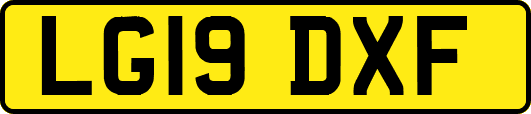 LG19DXF