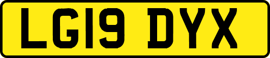 LG19DYX