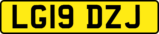 LG19DZJ