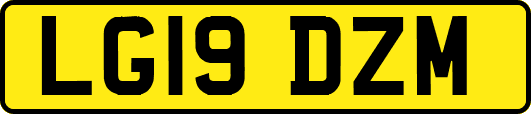 LG19DZM