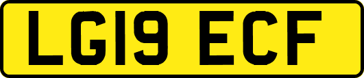 LG19ECF