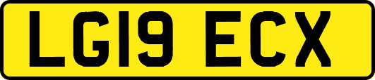 LG19ECX