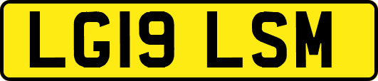 LG19LSM