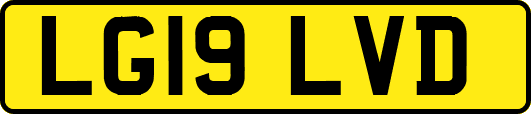 LG19LVD