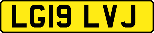 LG19LVJ