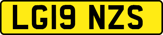 LG19NZS