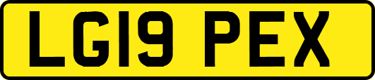 LG19PEX