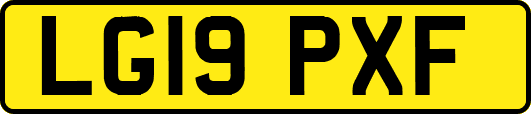 LG19PXF