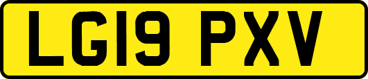 LG19PXV