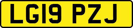 LG19PZJ