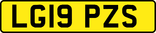 LG19PZS
