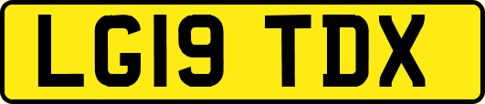 LG19TDX