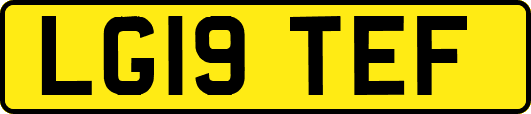 LG19TEF