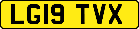 LG19TVX