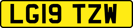 LG19TZW
