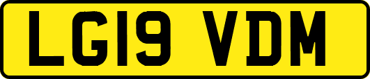 LG19VDM