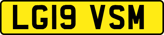 LG19VSM