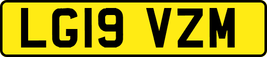 LG19VZM