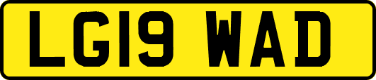 LG19WAD