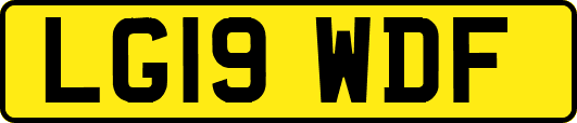 LG19WDF