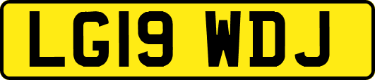 LG19WDJ