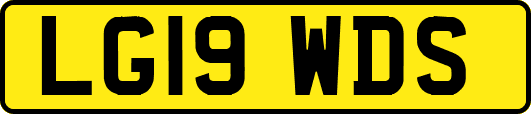 LG19WDS