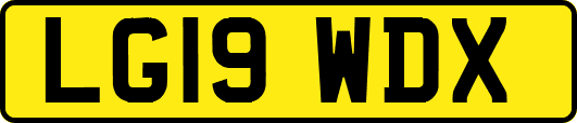 LG19WDX