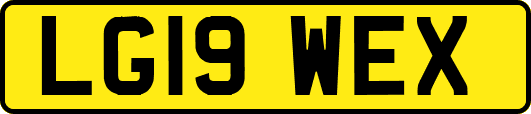 LG19WEX