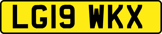 LG19WKX