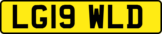 LG19WLD