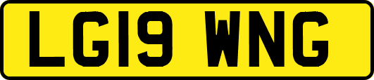LG19WNG