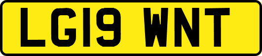 LG19WNT