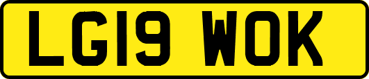 LG19WOK