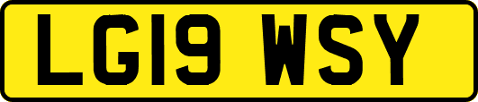 LG19WSY