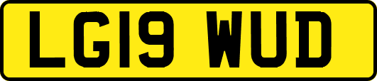 LG19WUD