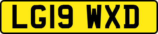 LG19WXD
