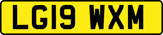 LG19WXM