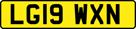 LG19WXN