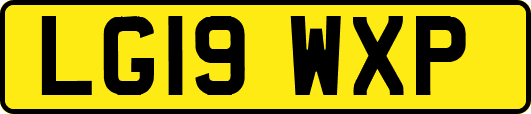 LG19WXP