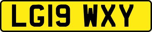 LG19WXY