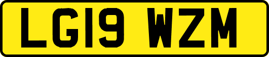 LG19WZM