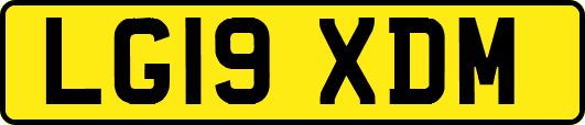 LG19XDM