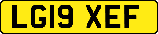 LG19XEF