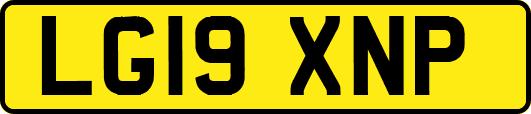 LG19XNP